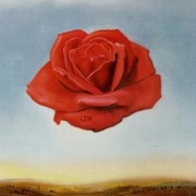 Salvador Dali 